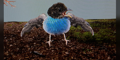 Cover image for Life Sucks And You're A Bird