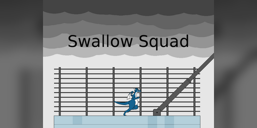 Cover image for Swallow Squad