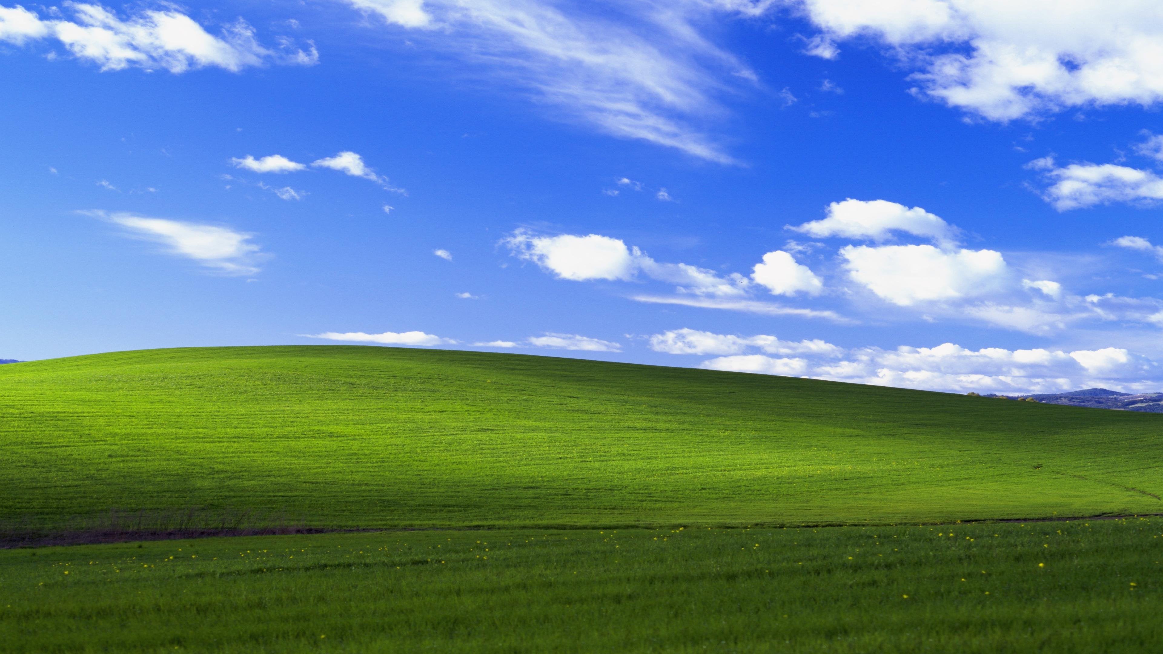 Windows XP Theme by TheSai_ki