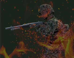 Armed Forces Vs Gangs