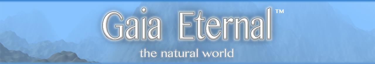 Gaia Eternal