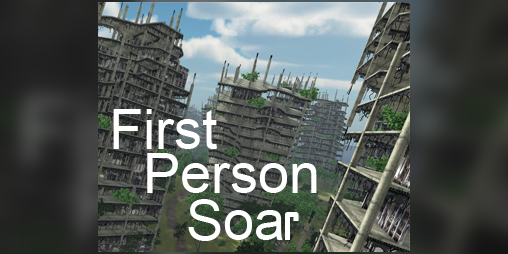 Cover image for First Person Soar