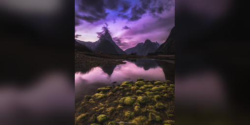Cover image for Edgescape