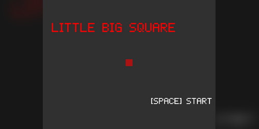 Cover image for Little Big Square