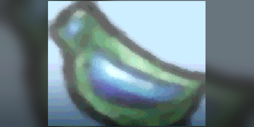 Cover image for Burgloiree