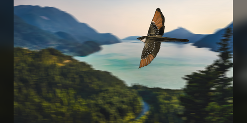 Cover image for Flight of Claude