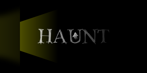 Cover image for Haunt