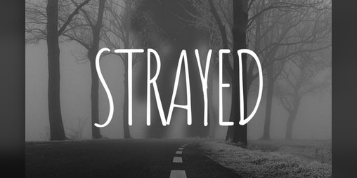 Cover image for Strayed
