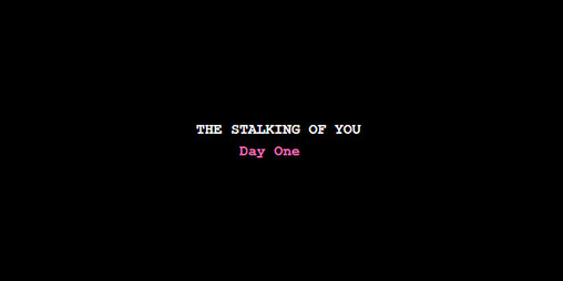 Cover image for The Stalking of You