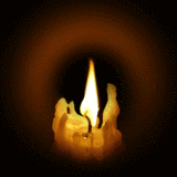 Cover image for I.U.S.H.