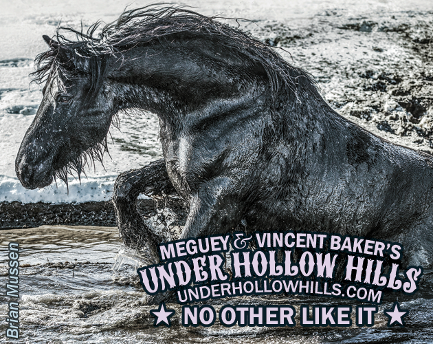 Screenshot 7 for Under Hollow Hills