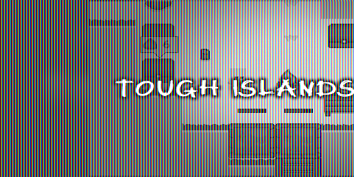 Cover image for Tough Islands