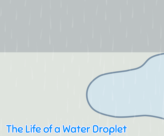 Cover image for Life of a Water Droplet