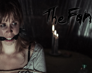Cover image for The Fan