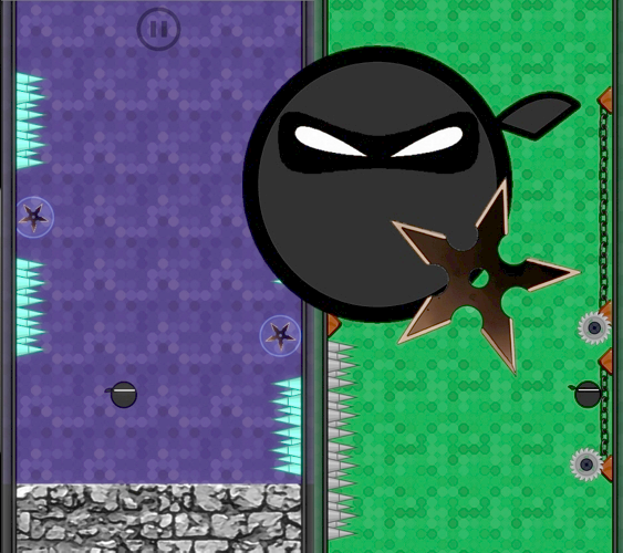Ninja 314