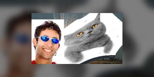 Cover image for Extreme Cat Game