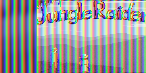 Cover image for Jungle Raiders