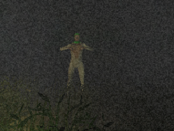 Cover image for Salamanderman