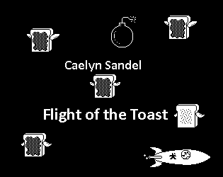 Cover image for Flight of the Toast