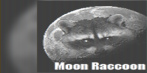 Cover image for Moon Raccoon