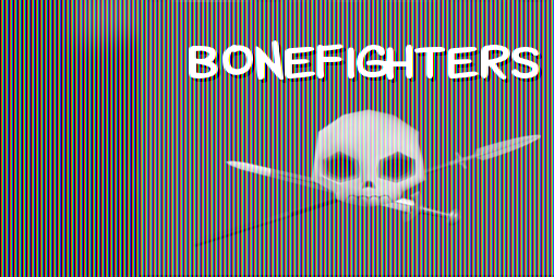 Cover image for Bonefighters