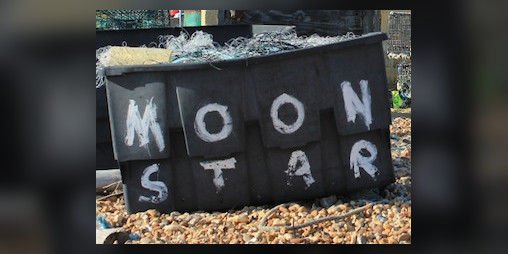 Cover image for Moon Star