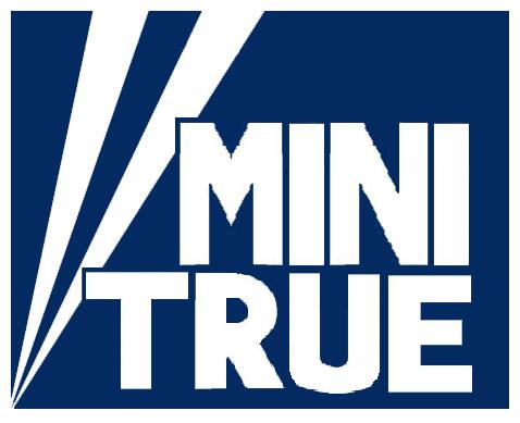 Cover image for Minitrue