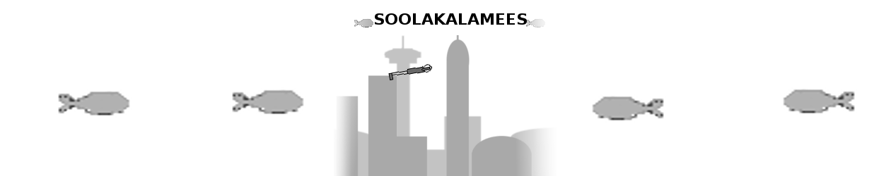 Soolakalamees