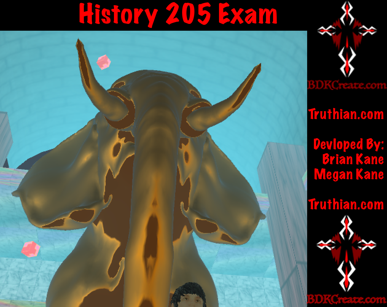 History 205 Exam