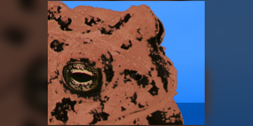 Cover image for Three Drunk, Pissed–Off Frogs