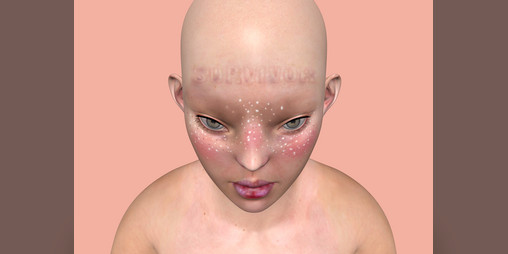 Cover image for Survivor