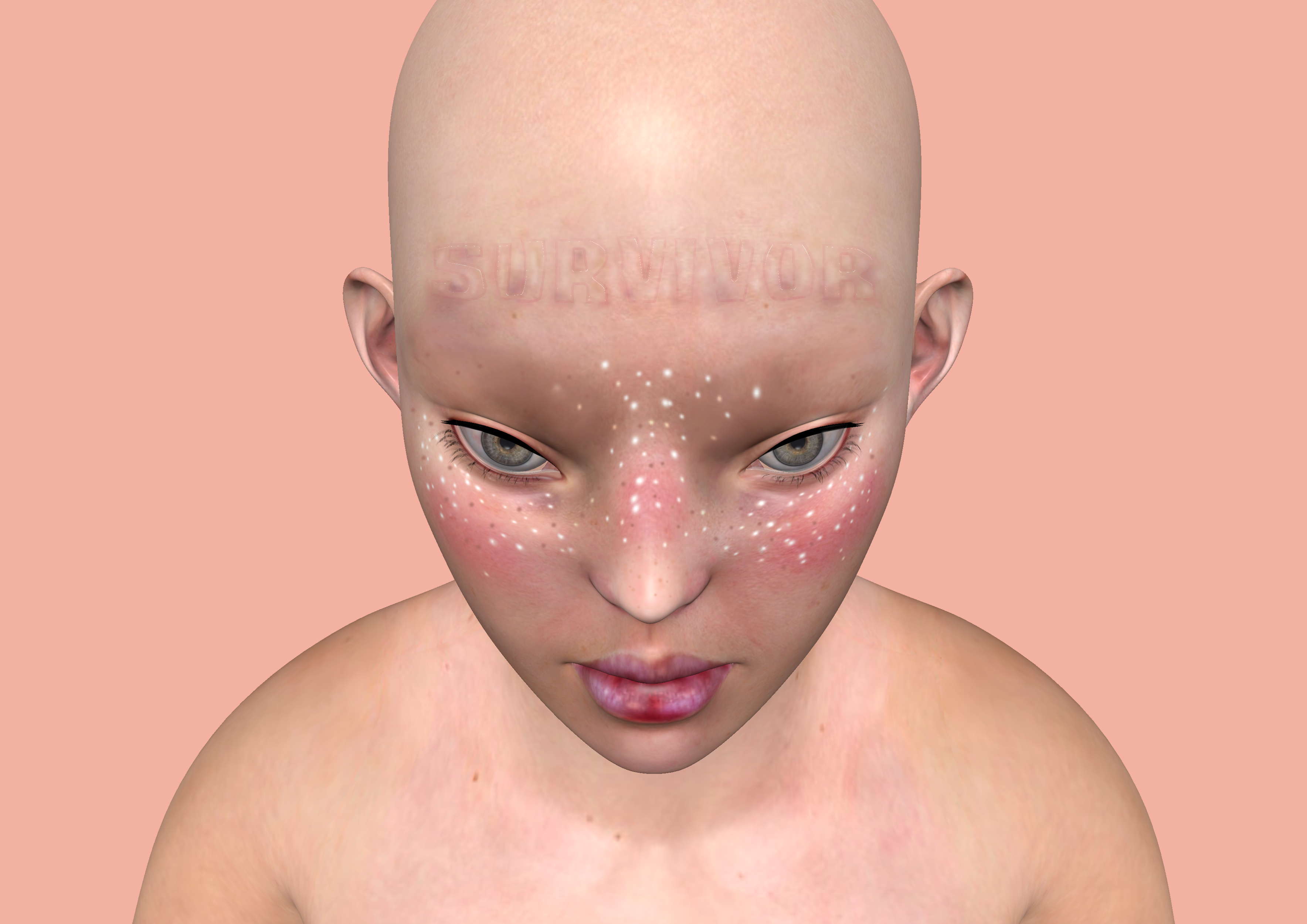 Cover image for Survivor
