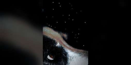 Cover image for LAIKA