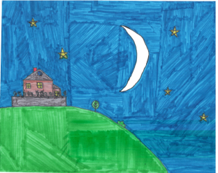 Cover image for Dark Skies
