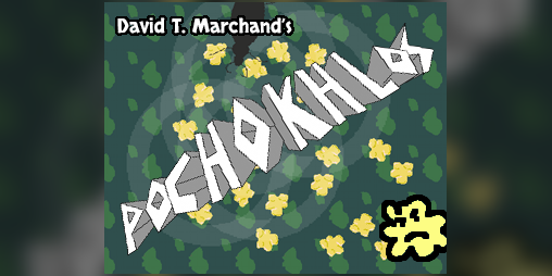 Cover image for Pochokhlos
