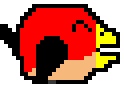 bits birds