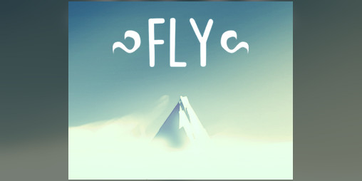 Cover image for FLY