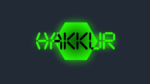 Cover image for Hakkur (early demo)