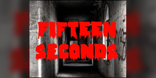 Cover image for FIFTEEN SECONDS