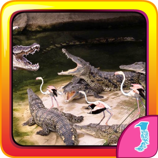 Escape Crocky