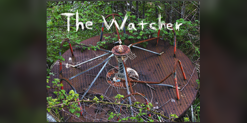 Cover image for The Watcher