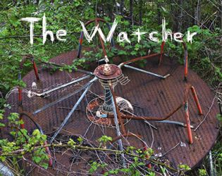 Cover image for The Watcher
