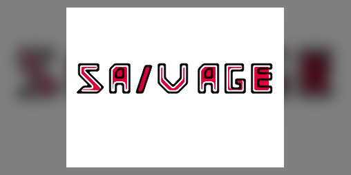 Cover image for Sa/vage