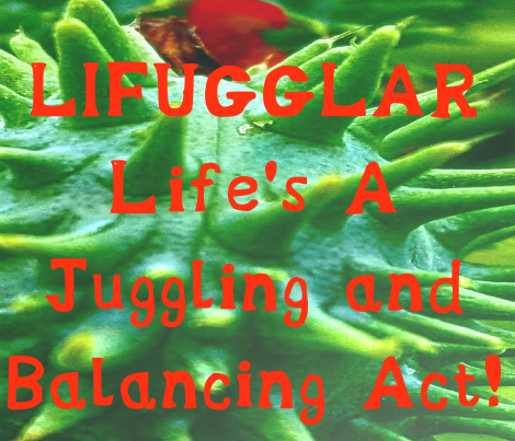 Lifugglar