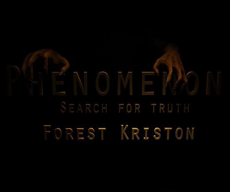 Phenomenon Search for truth-Forest Kriston DEMO