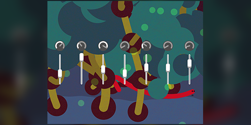 Cover image for Endless Garden