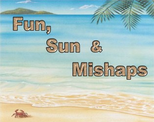 Cover image for Fun, Sun & Mishaps