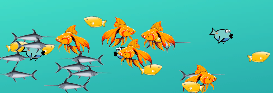 Colorful Fish Catcher