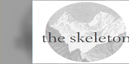 Cover image for The Skeleton (Original Draft)