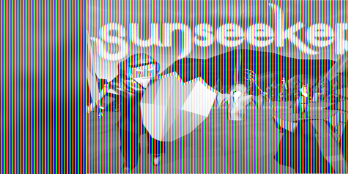 Cover image for Sunseeker